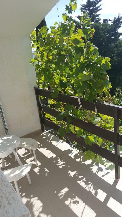 20Mtothesea Appartement Ribarica Buitenkant foto